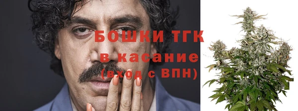 дмт Абаза