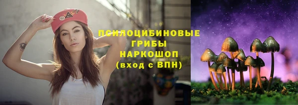 дмт Абаза
