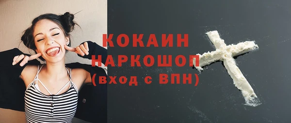 дмт Абаза