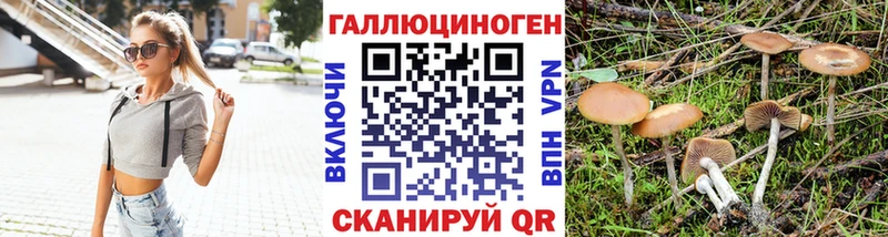 KRAKEN ссылка  продажа наркотиков  Таганрог  Псилоцибиновые грибы Magic Shrooms 